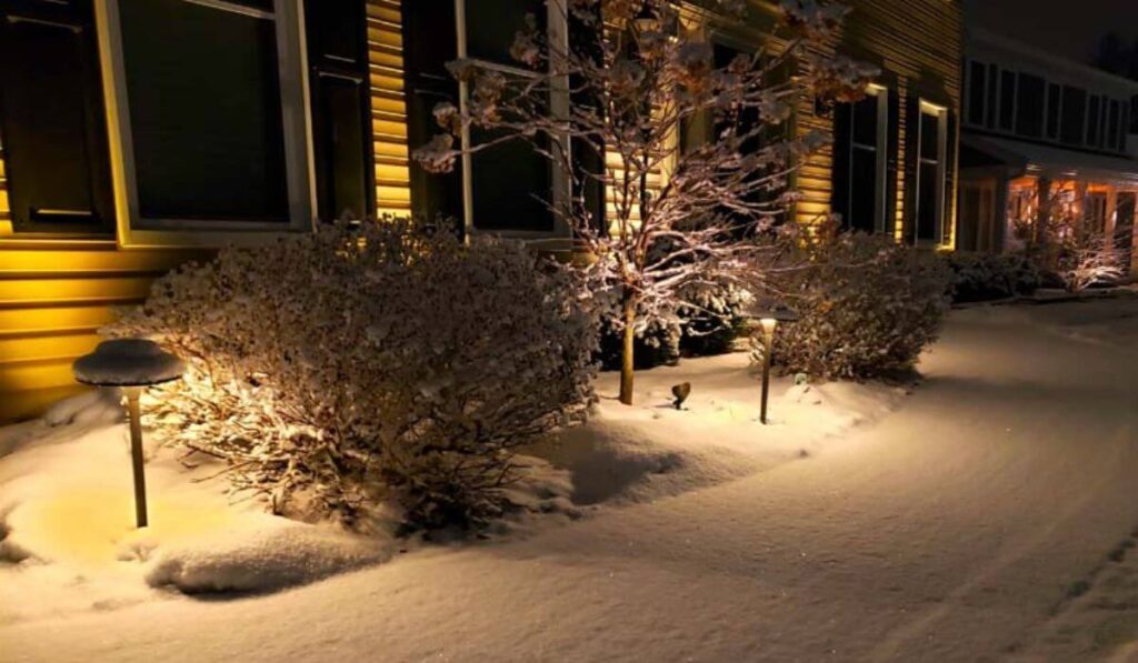Winter landscape lighting systems illuminating a snow-covered residential property in Chicagoland